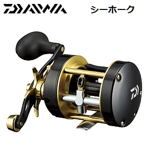 DAIWA V[z[N 300