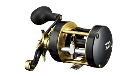 DAIWA V[z[N 300