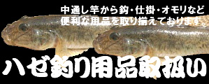 n[ނpi舵