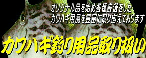 JnMpie舵I