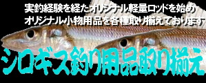 VLXނpi舵I