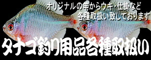 ^iSpie舵I
